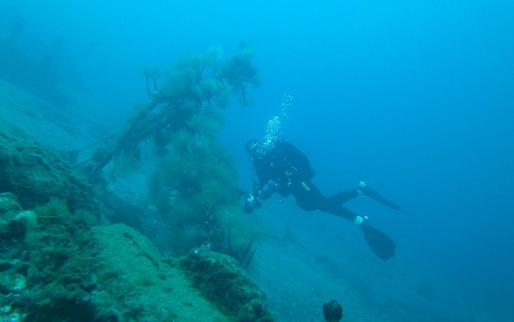 Immersioni nello stretto di Messina